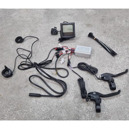Pedal assist control system