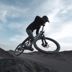 Amflow PX Carbon Pro Electric Bike (Avinox M2S, 1500W Peak, 700Wh Battery)