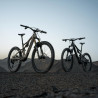 Amflow PX Carbon Electric Bike (Avinox M2S, 1500W Peak, 700Wh Battery)